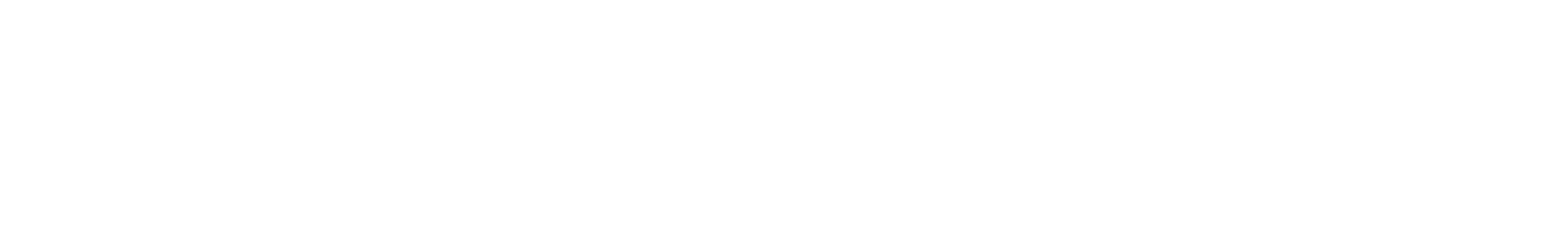 future wire logo white