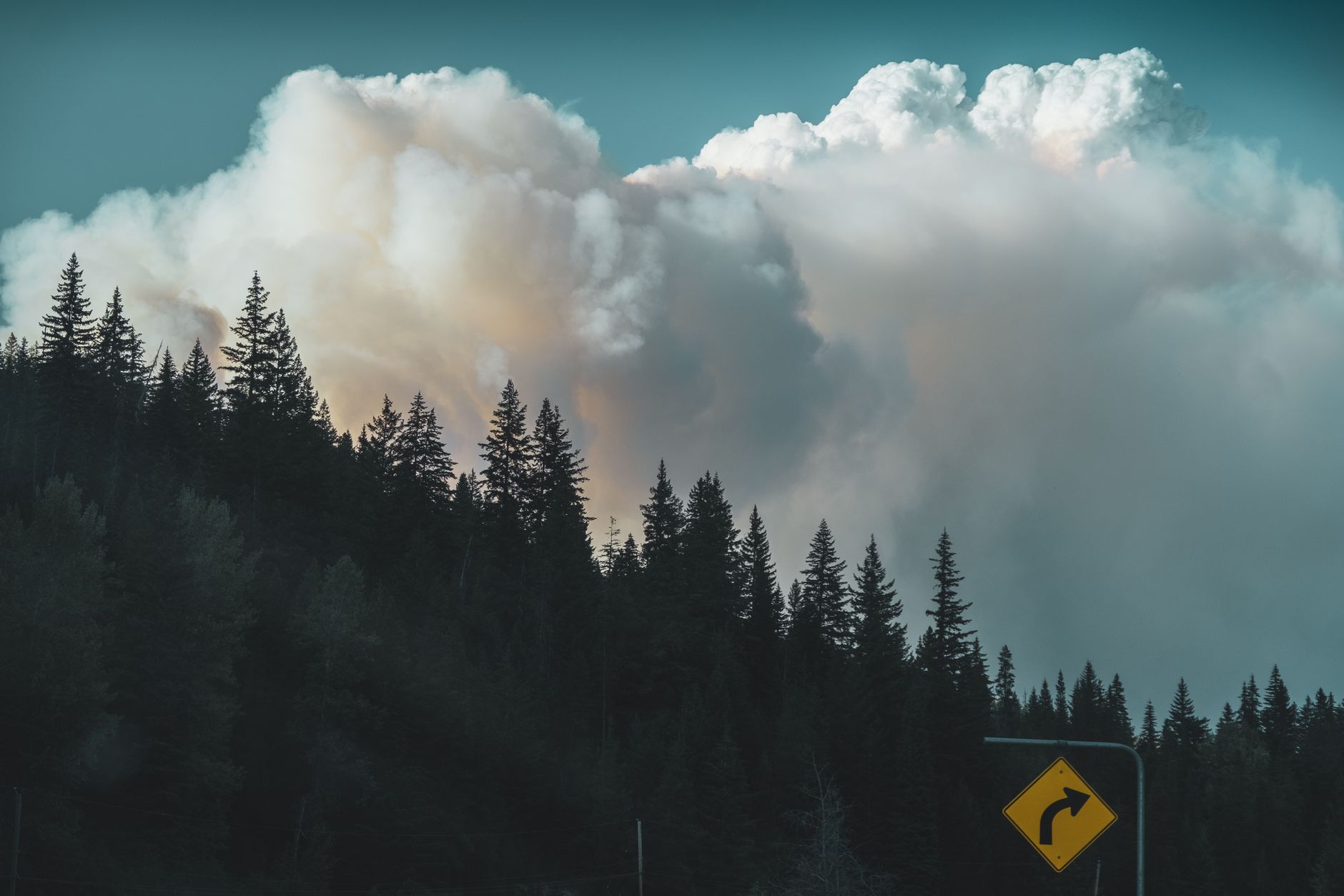 a massive anvil-shaped storm cloud rising above a burning pine forest at dusk, with an orange glow at the base and dark smoke merging into the cloud formation