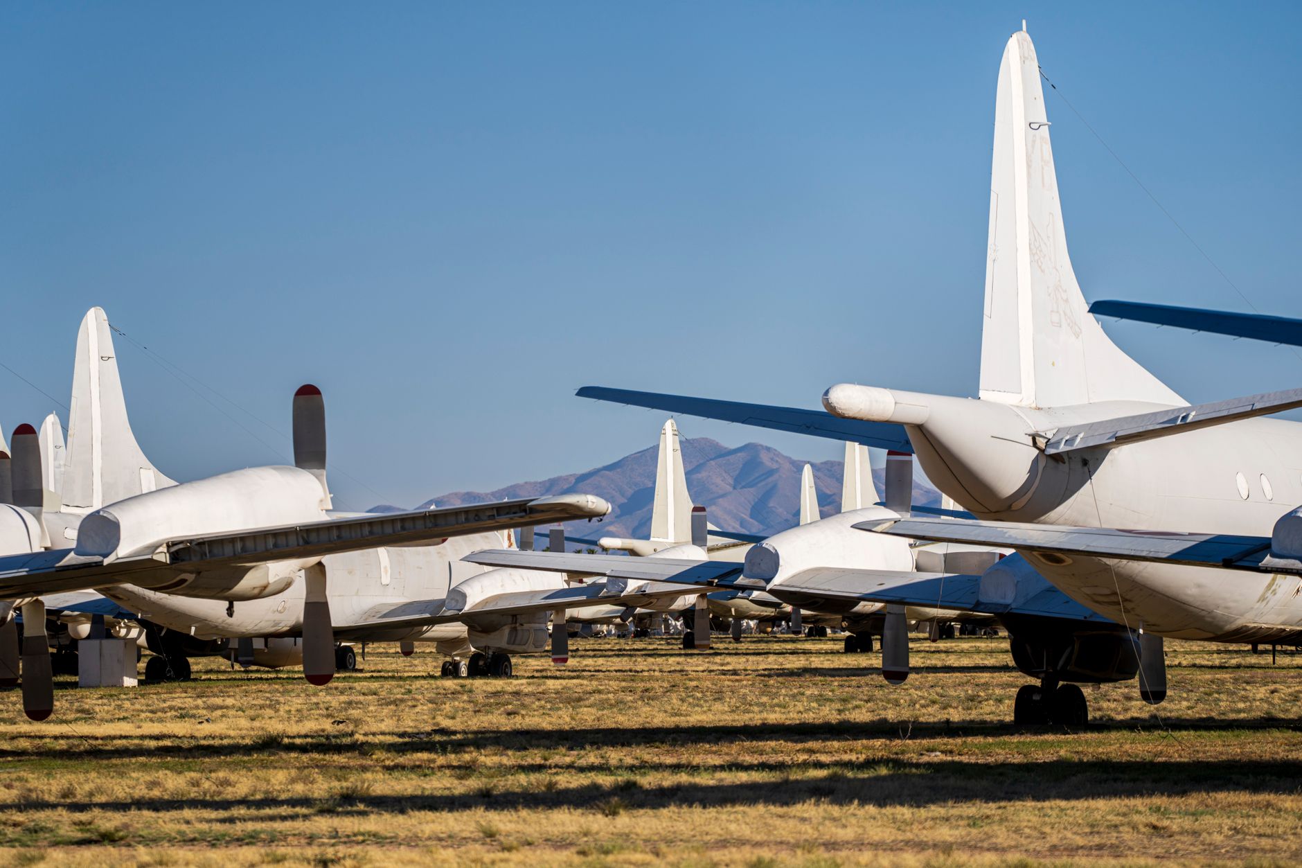 a field of small tactical military drones lined up on a concrete airstrip at dusk, surrounded by dry grassland