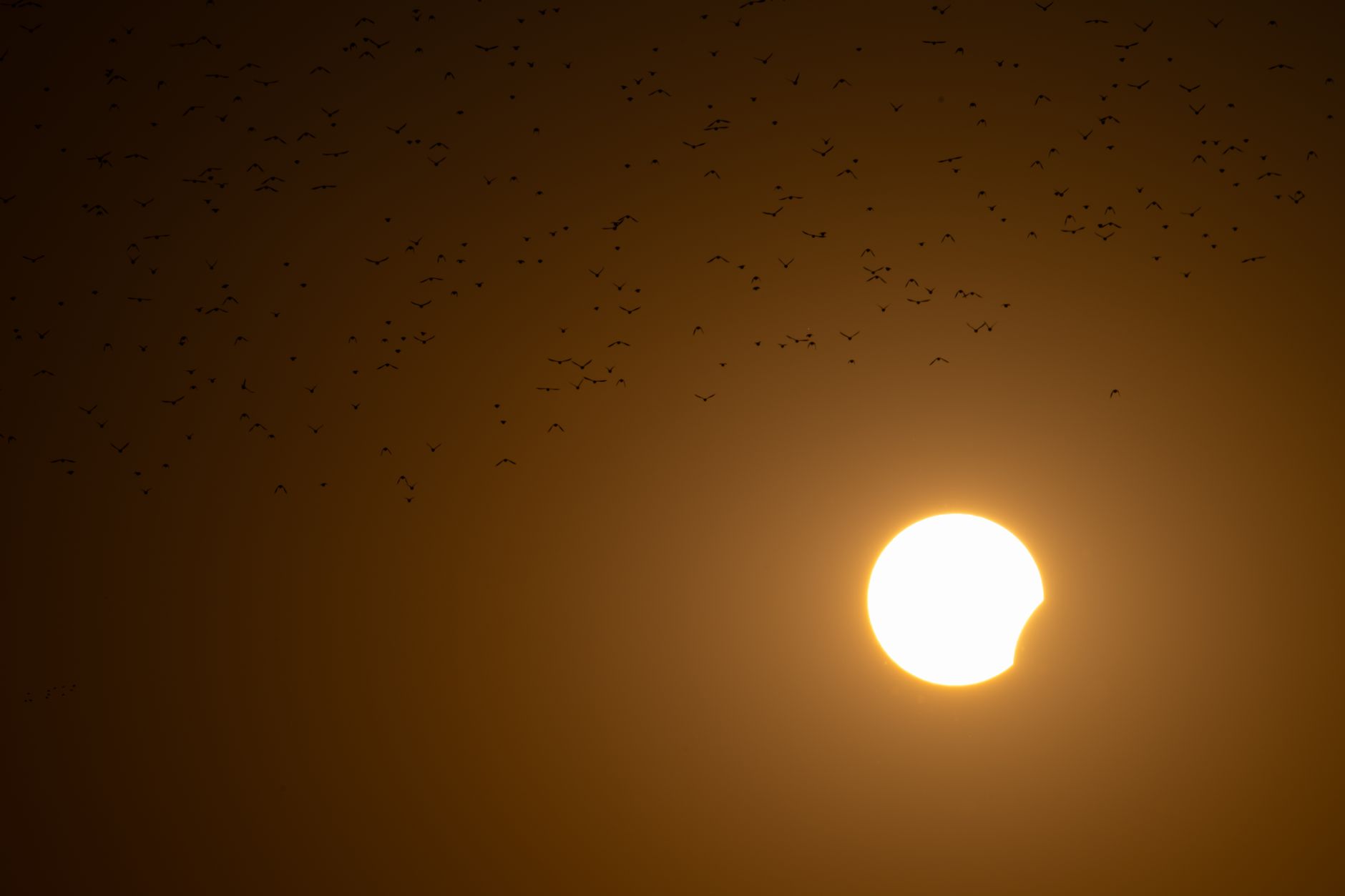 a wide-angle view of a darkened daytime sky over a Spanish coastal city during solar eclipse totality, with the sun's corona visible and city lights flickering on below