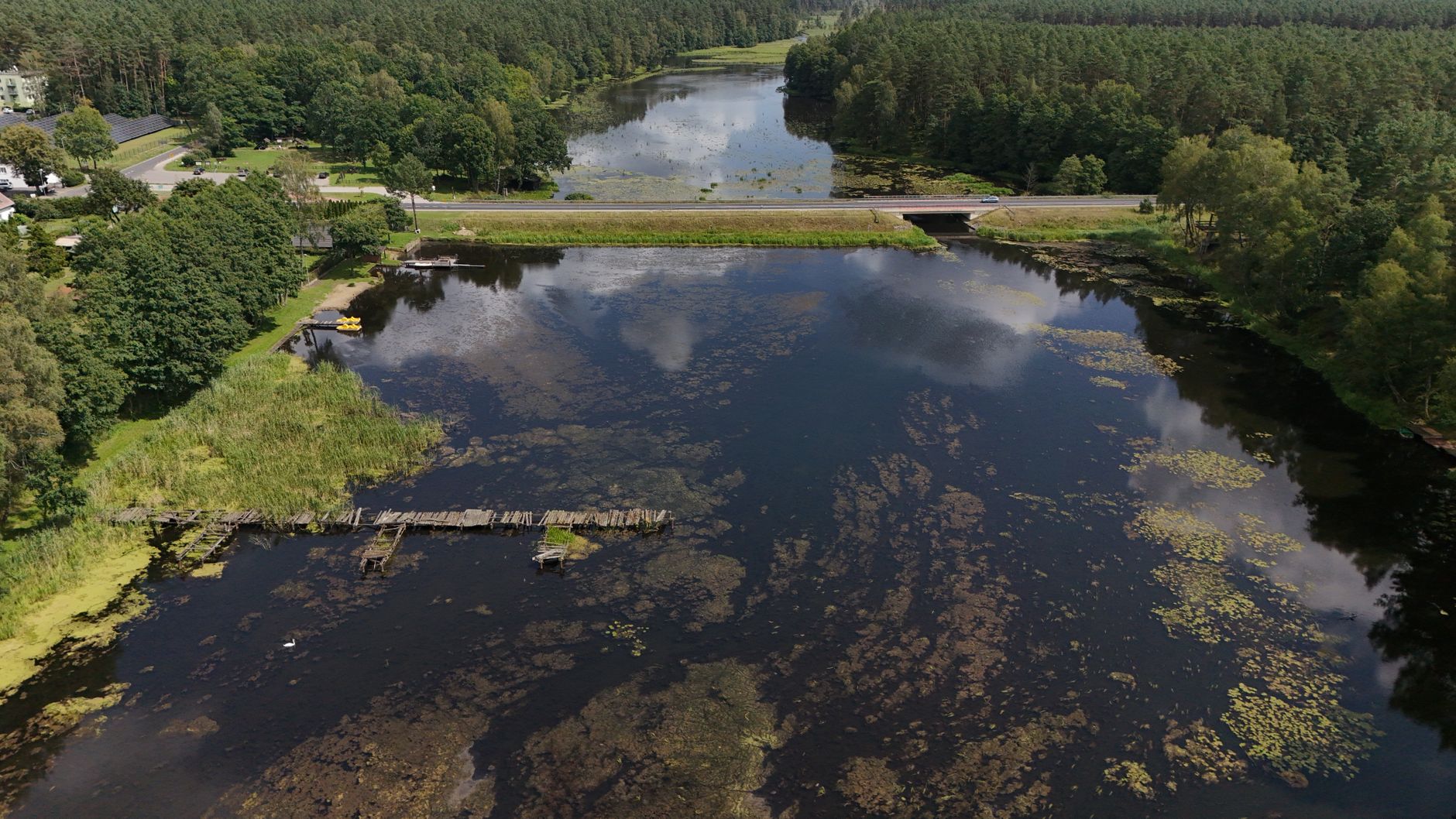 an aerial view of a wetland ecosystem adjacent to an industrial zone, with water channels and surrounding vegetation visible from above