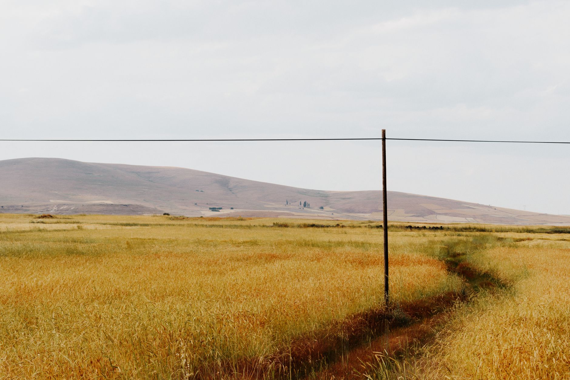 a fiber-optic cable trench cut open in a grassy field during overcast weather, with exposed orange conduit and loose soil visible alongside a measuring tape