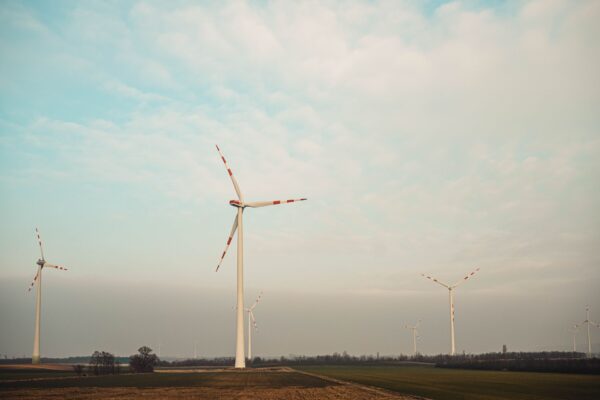 Solar Dominated Every New Watt Added to the US Grid So Far This Year