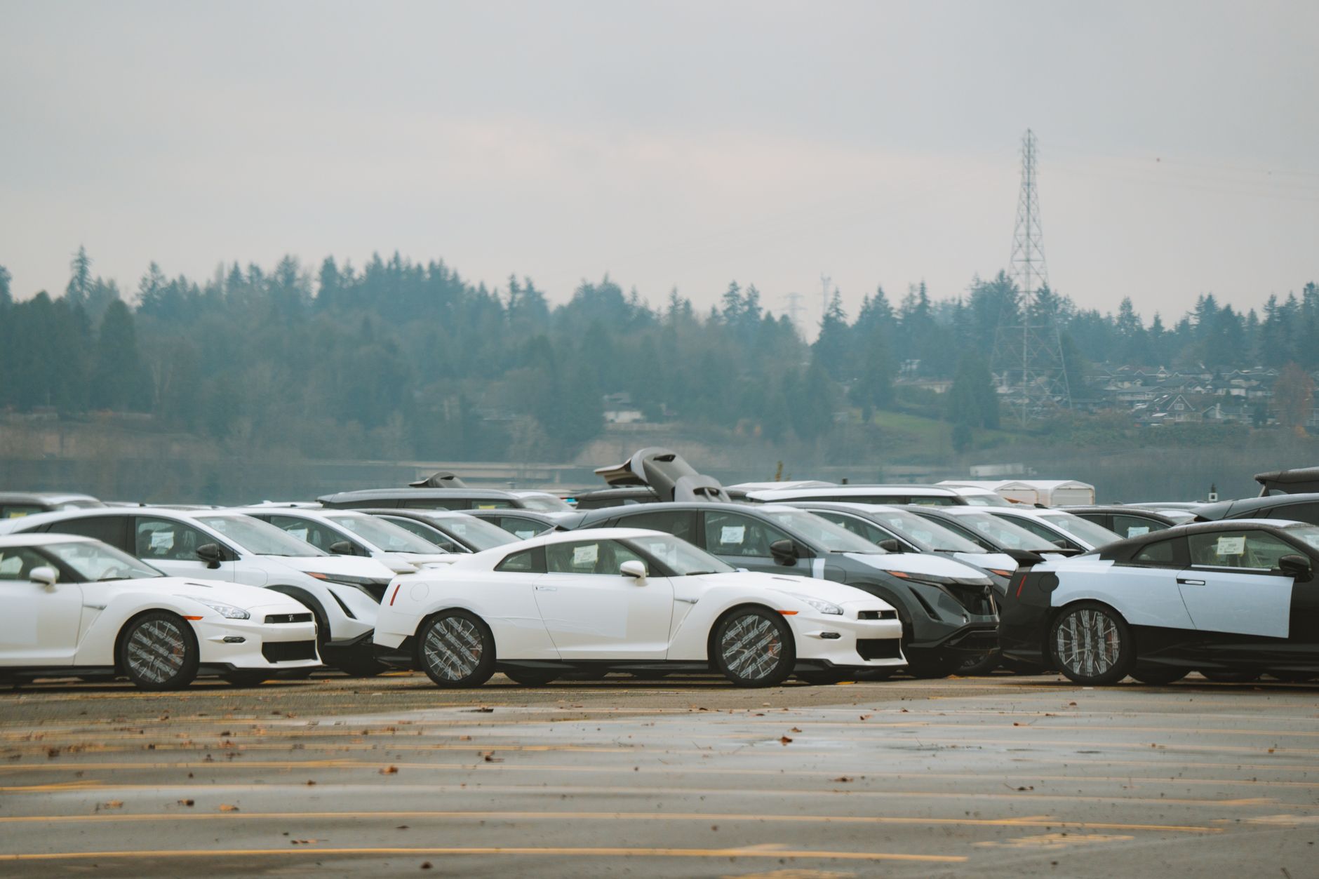 a row of sleek electric vehicles on an outdoor delivery lot at a modern automotive facility, late afternoon light casting long shadows across the car rooftops