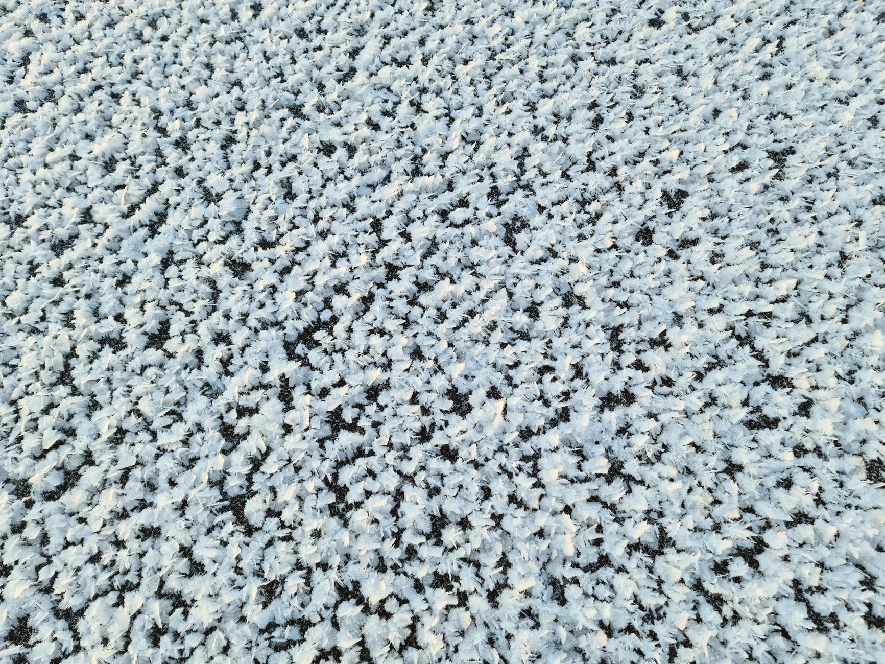 close-up of a HEPA filtration layer inside an air purifier unit, showing the dense white filter material and carbon layer beneath it