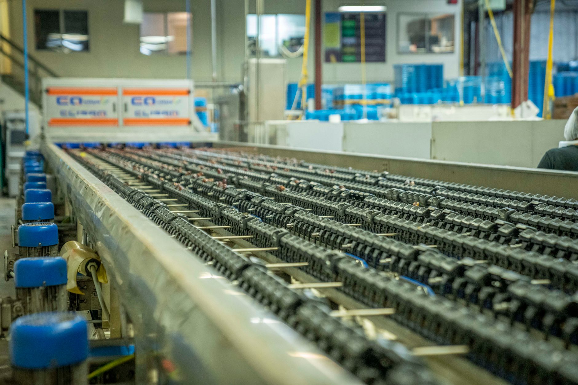 rows of sterile glass vials on a pharmaceutical manufacturing conveyor belt inside a cleanroom facility