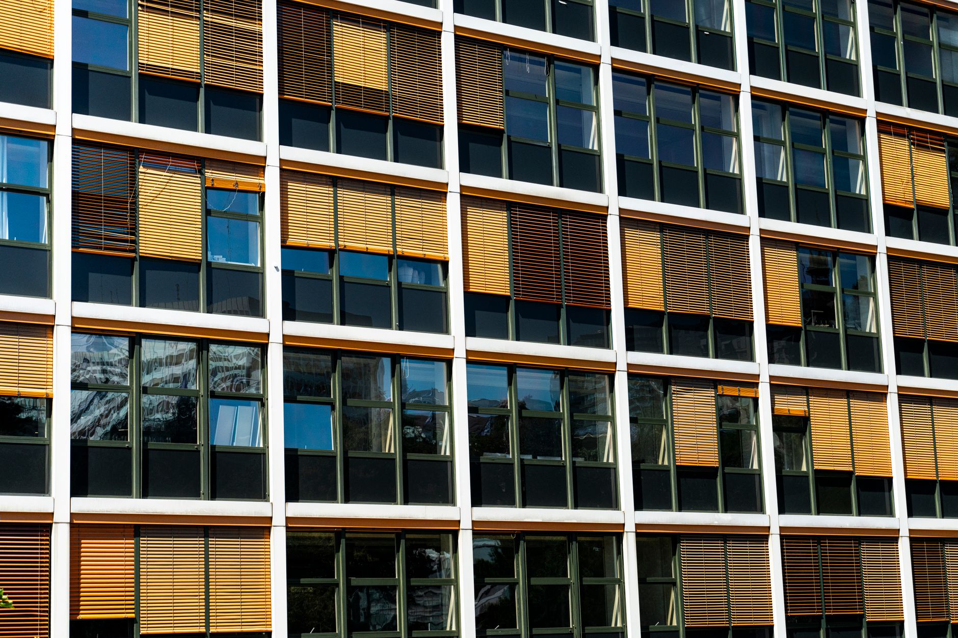 Smart Ring Rivals Are Circling as Oura Heads Toward a Public Offering